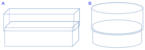 Frustule diatomée pennée centrale