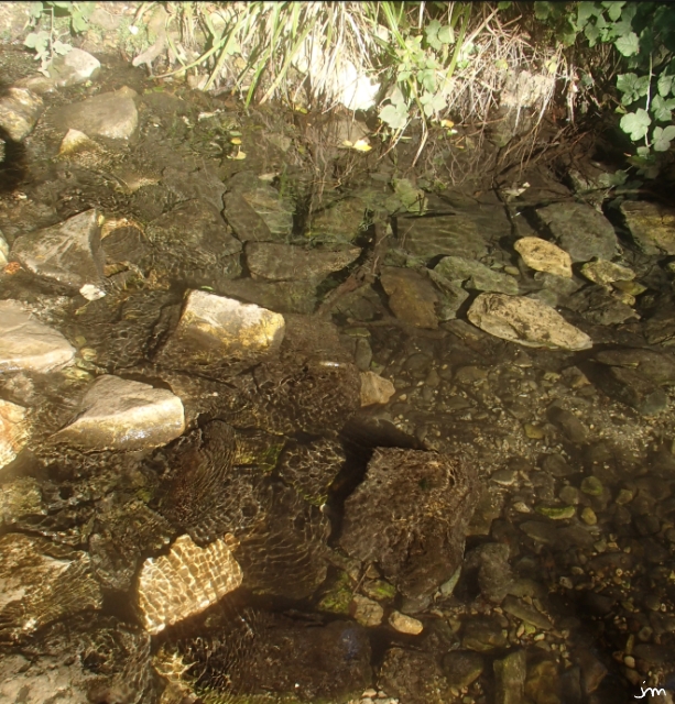 Confluence Sorgue chemin noir