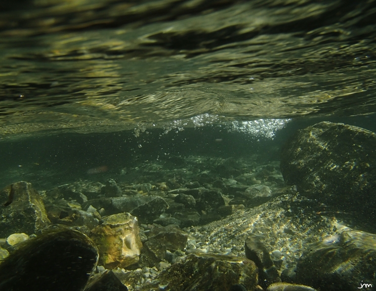 Sorgue fond rivière subaquatique biofilm diatomées
