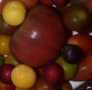 Couleurs fruits tomate prune anthocyane carotène