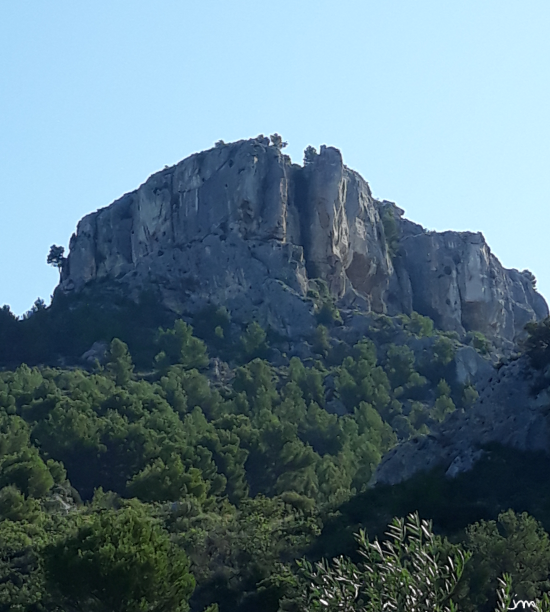 Fissure