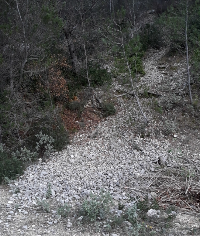 Glissement et sédimentation des produits de fragmentation sédimentation pierrier cailloutis