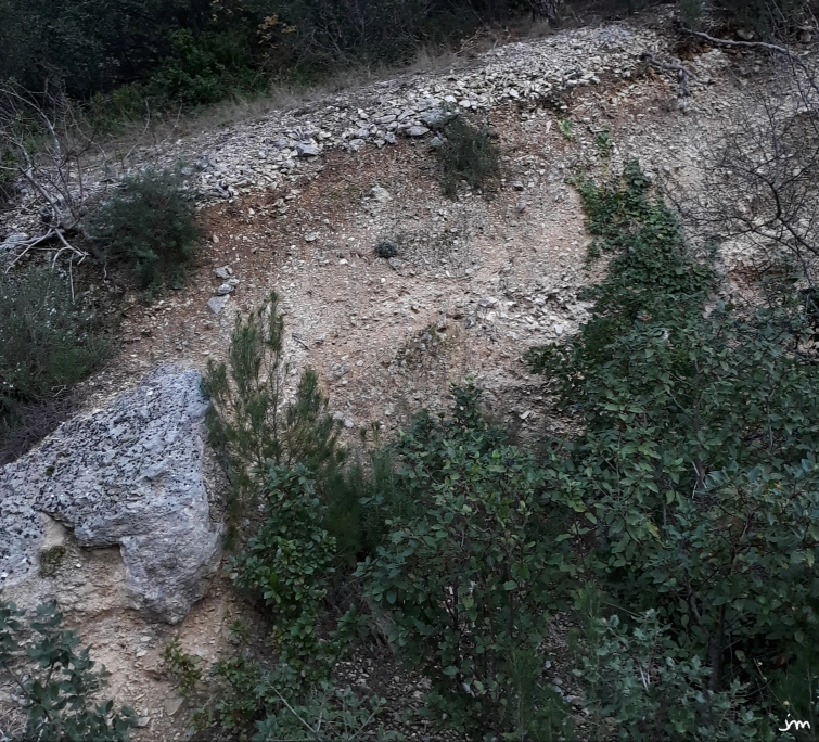 Formation d'un sol à partir des produits de l'altération sédimentation sol rouge méditerranéen