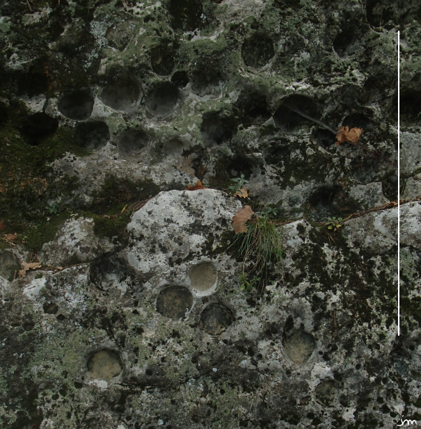 mur à niches d'oursin miocène