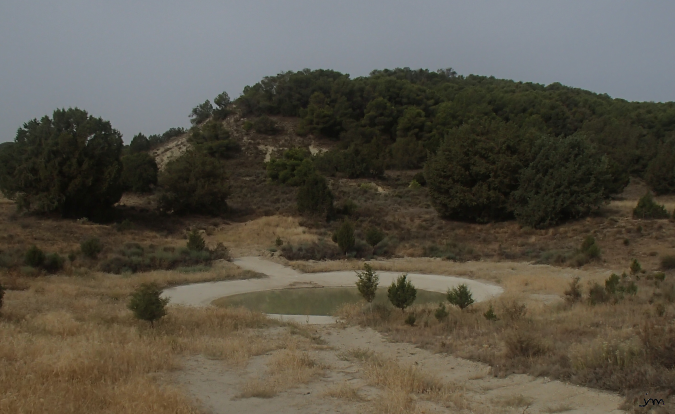 Abreuvoir pluvial