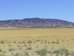Monegros