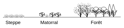 Définitions